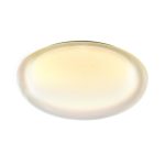 Настенно-потолочный светильник Sonex Pale Jolly 7775/DLN