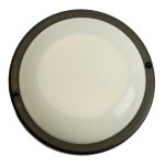 Настенно-потолочный светильник Feron AL3005 51471