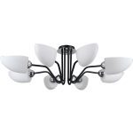 Потолочная люстра Illumico IL0448-8CSQ-79 BK
