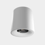 Накладной светильник Lightera Shamrock LE201CL-1WA