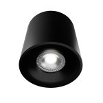 Накладной светильник Lightera Shamrock LE201CL-1BB