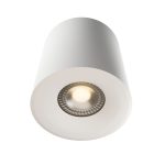 Накладной светильник Lightera Shamrock LE201CL-1WA