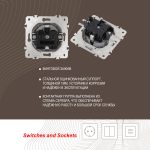 Розетка с заземлением, шторками и защитной крышкой Arte Milano 202.41-1.silver