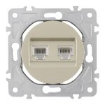 Розетка телефонная RJ11 + компьютерная RJ45 Arte Milano 202.44-1.shampan