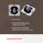 Розетка RJ45 Arte Milano 202.45-1.shampan