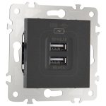 Розетка USB 2.1А+1А Arte Milano 203.46-1.black