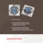 Розетка телефонная RJ11 Arte Milano 203.51-1.silver