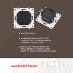 Диммер Arte Milano 205.48-1.shampan