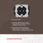 Розетка двойная с заземлением Arte Milano 206.40-2.shampan