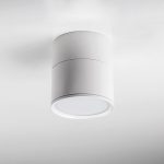 Накладной спот Lightstar Acuto 215886