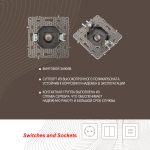 Розетка спутниковая SAT TV Arte Milano 217.42-1.shampan