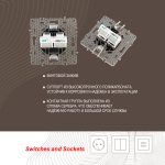 Розетка телефонная RJ11 + компьютерная RJ45 Arte Milano 217.44-1.shampan