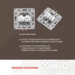 Розетка телефонная RJ11 + компьютерная RJ45 Arte Milano 217.44-1.silver