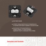 Розетка RJ45 Arte Milano 217.45-2.black