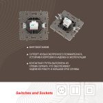 Розетка телефонная RJ11 Arte Milano 217.51-1.shampan