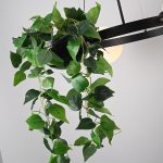 Подвесная люстра ImperiumLoft Palma 248665-01