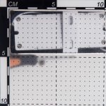 Бра Citilux Eletto Krown EL334W16.1