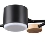 Люстра на штанге Lumion Crypto 8194/5C