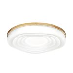 Потолочный светильник Sonex Fass wood 7674/DL