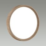 Настенно-потолочный светильник Sonex Woodi 7603/CL