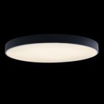 Потолочный светильник Loft IT AXEL 10002/48 Black