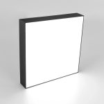 Накладной светодиодный светильник Citilux Тао CL712X242N