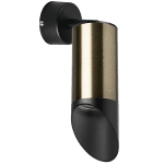 Встраиваемый спот Lightstar Rullo RB43137 (214431+590007+201437)