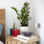 Выключатель двухклавишный Werkel Gallant белый W5020001 4690389164118