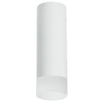 Накладной светильник Lightstar Rullo R48631 (214486+202431)