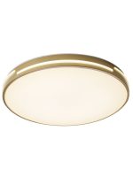 Потолочный светильник Zortes Gabby ZRS.90610.50