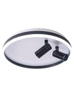 Потолочный светильник Zortes Raizy ZRS.1888.01