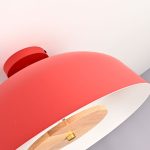 Потолочный светильник ImperiumLoft Globemi 307159-26