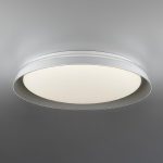 Потолочный светильник Citilux Mega CL752451G