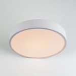 Потолочный светильник LED4U L2020-300 WH