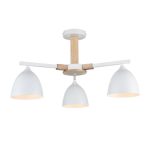 Люстра на штанге Lumion Colange 8095/3C