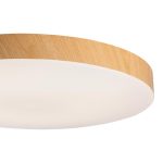 Потолочный светильник Sonex Gamma 7761/24L