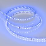 Светодиодная лента Arlight RT-A120-8mm 24V Blue (9.6 W/m, IP20, 2835, 5m) 008783(3)