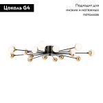 Потолочная люстра Freya Celebrity FR5242CL-16B