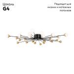 Потолочная люстра Freya Celebrity FR5242CL-24B