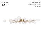 Потолочная люстра Freya Celebrity FR5242CL-24BS1