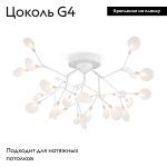 Потолочная люстра Freya Florencia FR5049CL-27W2