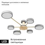 Потолочная люстра Loft IT Sunrise 10316/6 Grey