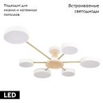 Потолочная люстра Loft IT Sunrise 10316/6 White