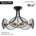 Потолочная люстра Lussole LSP-8896