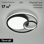 Потолочная люстра Eurosvet Jeremy 90254/1 черный a057128