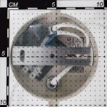 Спот Citilux Винон CL519525