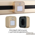 Трековая подсветка Arte Milano Am-track-sockets 380022TLS/LWS Gold