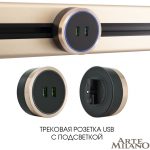 Трековая розетка Arte Milano Am-track-sockets 380066TS LED/USBx2 Gold
