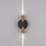 Уличный настенный светильник Lightstar Dito 380623