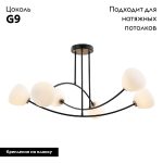 Потолочная люстра Lussole Bryan LSP-8936